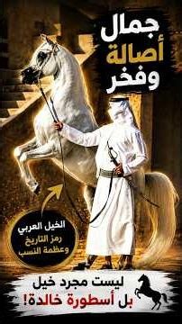 🏜️🐎 How the Desert Created the World's Greatest Horse Breed