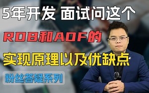 【Mic讲架构】五年Java开发问这个？RDB和AOF的实现原理以及优缺点