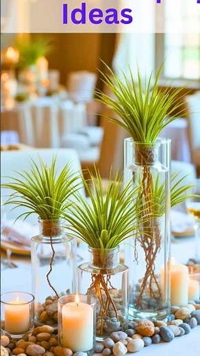 20 Coolest ways to display air plants