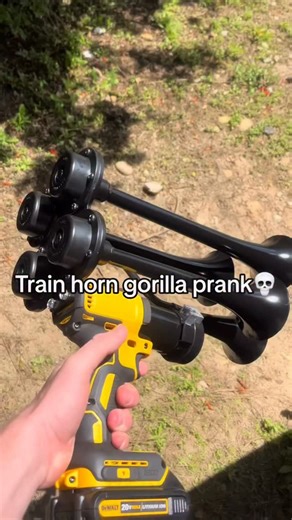 Horn Guns made in California - BossHorn on Instagram: "BossHorn.com Train Horn Golf Prank"