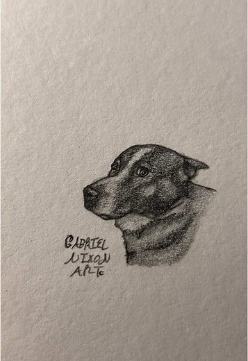 Cat and Dog Sketches: A Heartfelt Tribute to Pets