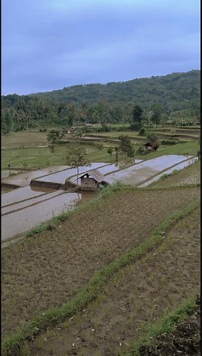 lagu sunda / Lembur pakuan