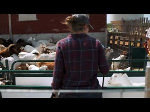 The Working Chute and Crowding Tub