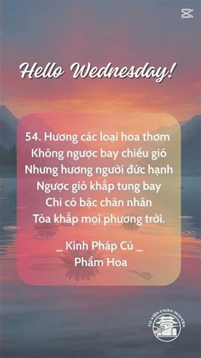 Mỗi ngày một câu kệ | Thứ Tư Lan Toả | Kinh Pháp Cú #tvcn #kinhphápcú #kinhphatgiao