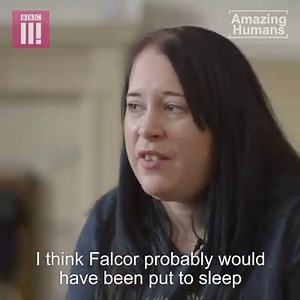 2M views · 12K reactions | Lynsey is saving condemned dogs and finding them forever homes. | BBC Three | Facebook