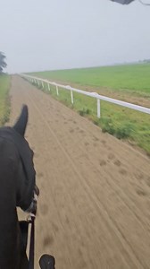 53K views · 1.2K reactions | Safe to say there's bugger all wrong with Alan.  I, on the other hand, have arms a foot longer after cantering him...藍 #jodavisracing #equissistant #horse #horsepower #racehorses #racing #racehorsetrainer #racehorsesofinstagram #horse #horseracinguk #horsepower #horsesuk | Jo Davis Racing | Facebook