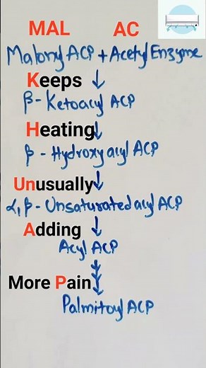 Fatty acid synthesis mnemonic: De Novo fatty acid synthesis trick #shortsfeed #biology #biochemistry
