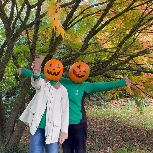 Pumpkins don't belong in the forest 🎃⚠ We love a bit of festive fun during Halloween, but it's more of a trick than a treat when local wildlife come across pumpkins dumped in the forest. They can pose a risk to certain species, spread disease, contain forgotten tealights, and who knows what they'll get up to once you've gone home ... Find out how to reuse or recycle your pumpkin this week 👉 forestryeng.land/reuse-your-pumpkins | Forestry England