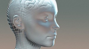 Experimental Psychology