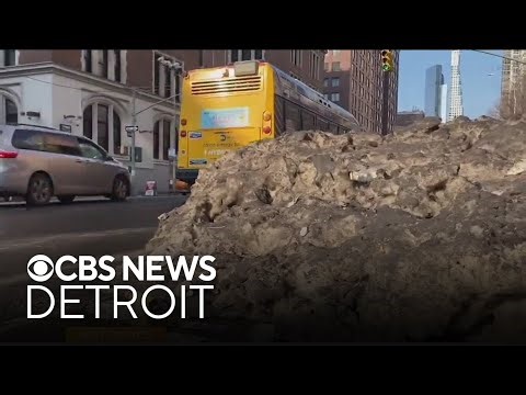 New York City sees spike in dog waste complaints after recent snowstorm