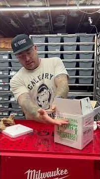 What to expect when ordering a ball python online | Learn how we ship ball pythons #ballpython