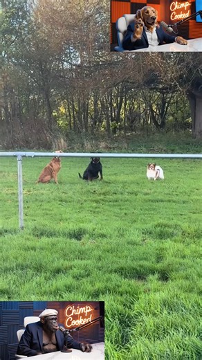 Immanuel Zitha on Instagram: "my name is jeff #shorts #reels"