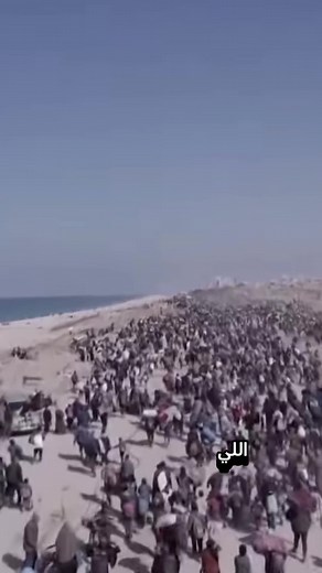 الغباء جندي من عند الله! #اسرائيل #مصر #مصر_السعوديه_العراق_فلسطين #المصري #مصر🇪🇬 #الشعب #إسرائيل #المصريين #مصر_ام_الدنيا_وهاتبقى_اد_الدنيا @Taherelmoatazbellah