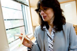 Joanna Aizenberg - Alchetron, The Free Social Encyclopedia