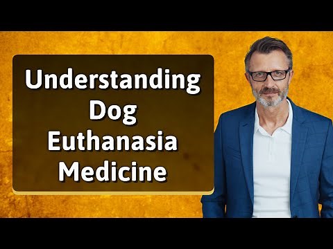 Understanding Dog Euthanasia Medicine