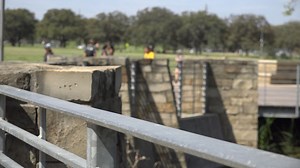 Allergy doctor discusses early increase in oak pollen