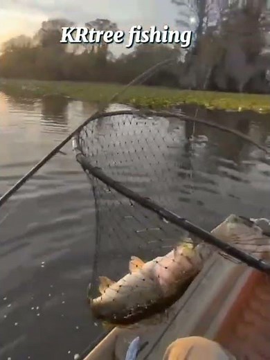 Fishing techniques, secret lures, and expert strategies