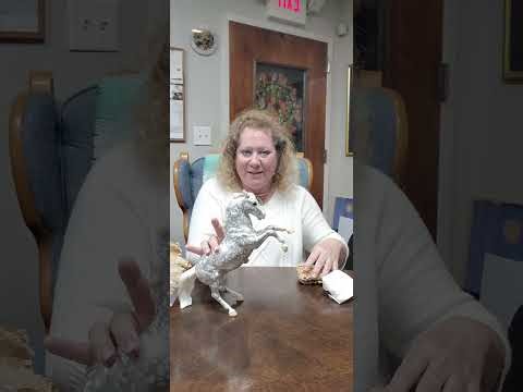 #breyerhorses #collectorclub #modelhorses #stallion #Killington #winterspecial #breyer #shorts