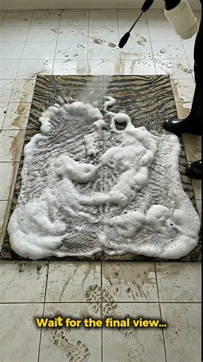 Zebra skin Carpet cleaning ( In 10 seconds)...?