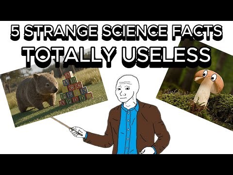 5 Strange science facts that sound fake (but true and so useless)