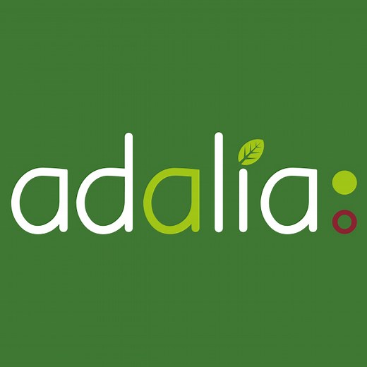 Coccinelles et Papillons : élever des insectes dans sa classe | Adalia