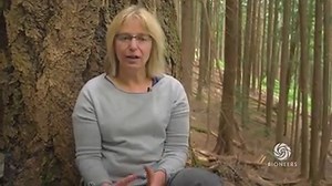13K views · 540 reactions | Forest ecologist Suzanne Simard, Ph.D....