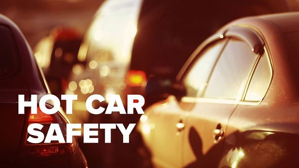 Don't forget to check your cars during the summer. Here's why