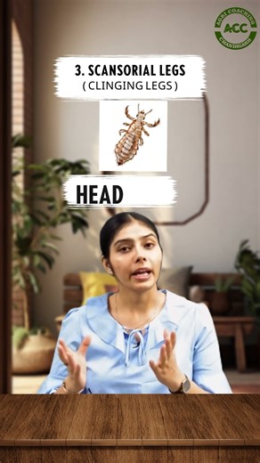 Insect leg modification, part-1