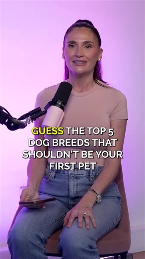 Top 5 Favorite Dog Breeds You Should Know