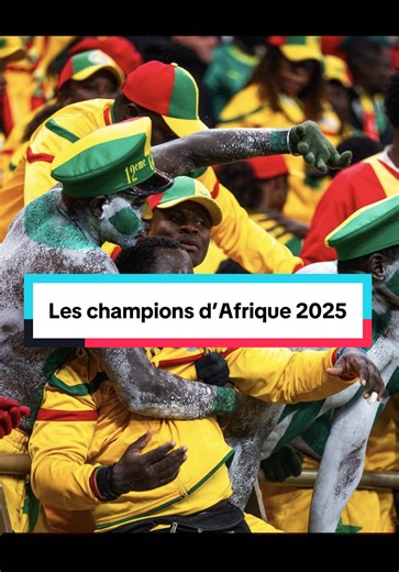 Arrivée des Champions d'Afrique au Sénégal