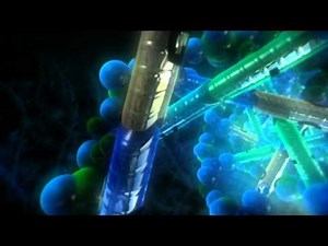 What Darwin Never Knew (NOVA) Part 3/8 HD
