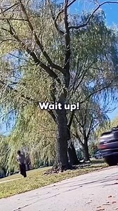 17K views · 250 reactions | Tony Soprano had “coffee” with a client  #Shorts | Jose Abad Santos High School | Facebook