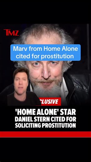 Kevin Clancy on Instagram: "Marv from Home Alone cited for prostitution. Let the Wet Bandit live, man! (This video is my magnum opus)"
