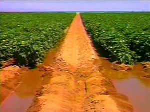 027E Surface Irrigation