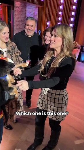 Best day EVER!! #PuppyBowl