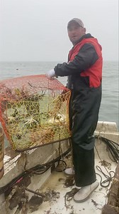 245K views · 4K reactions | 1.00 crabs allday … I hope you’re having a great morning see y’all soon | Decatur's Crabs | Facebook