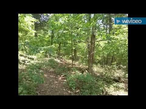 An Introduction to Critical Incident Stress Debriefing (CISD) Integrated with Expressive Therapies