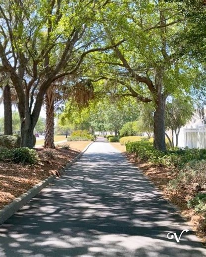 The Villages | ☀️ We're cruising into another beautiful day in #TheVillages! Add a 🛺 below, then tell us where the golf car paths will lead you today.... | Instagram