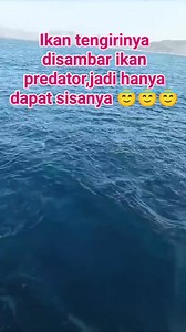Mancing trolling strike ikan tengiri #reel_viral #mancing #fishing #fyp #jangkuanluas | Muhammad Yusuf