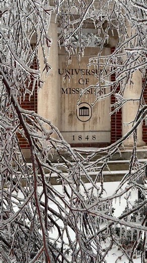 Stay safe, Oxford! 🧊 The aftermath of Winter Storm #Fern is looking like a frozen landscape today. 📍 Oxford & Ole Miss Update The weight of the ice has been devastating for our local canopy. We are seeing significant tree damage across the University of Mississippi campus and throughout town. Current Status: • Power Outages: Most of Oxford is currently without power as crews work through difficult conditions. • Road Hazards: Downed limbs and slick patches are making travel extremely dangerous.