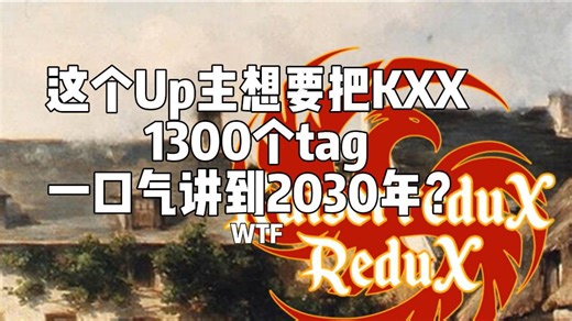 这个Up想要把KXX1300个tag一口气讲到2030年？