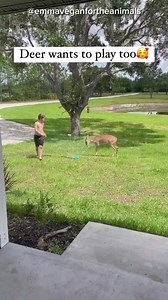 7.1K views · 254 reactions | One of those fleeting examples of how...