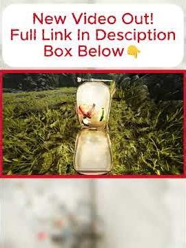 Bro I Had No Idea Where To Go😅 #ferocious #pc #pcgaming #survivalgame