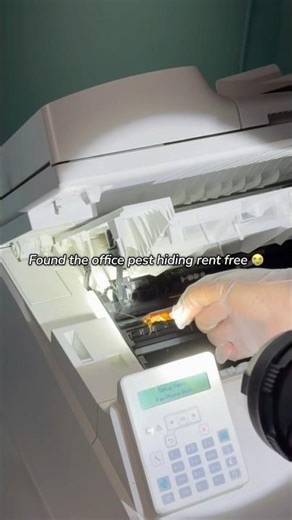 Cockroach hiding inside our office printer 🖨️🪳 (Caught on camera!)