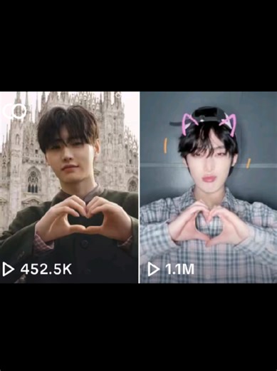 Lovebirds Code-Switching: A Heartfelt Farewell