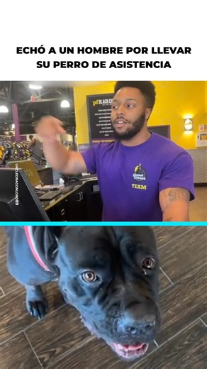 Asistente no dejó entrar al gimnasio a un hombre con su perro de compañía, lo echó a la calle pero recibió una lección que no olvidará | Upsocl Video