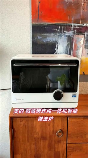 智能微波炉经久耐用陪伴更长久吗.496789
