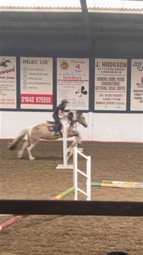lemon flying in my lesson yesterday!! ⭐️