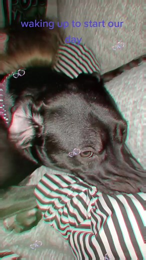 Good morning everyone