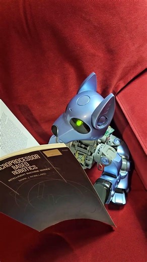 i-Cybie In The Library Studying